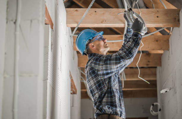 Best Electric Panel Repair  in Astor, FL